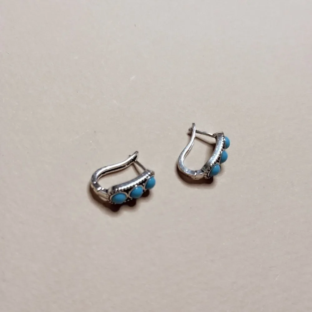 Silver and Blue Hoop Earrings S1009
